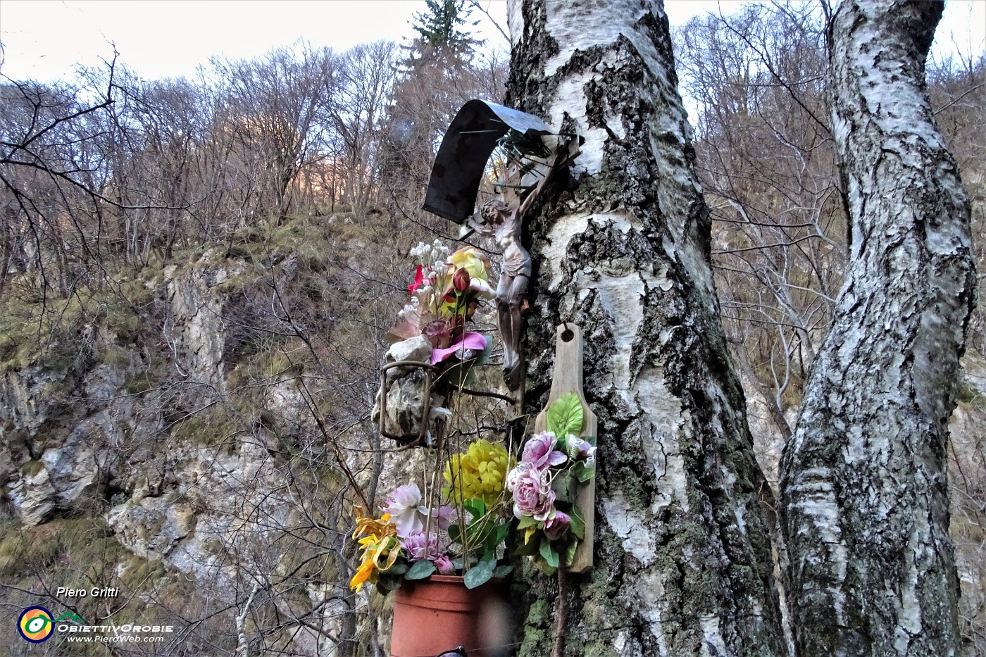 18 Crocefisso su betulla.JPG
